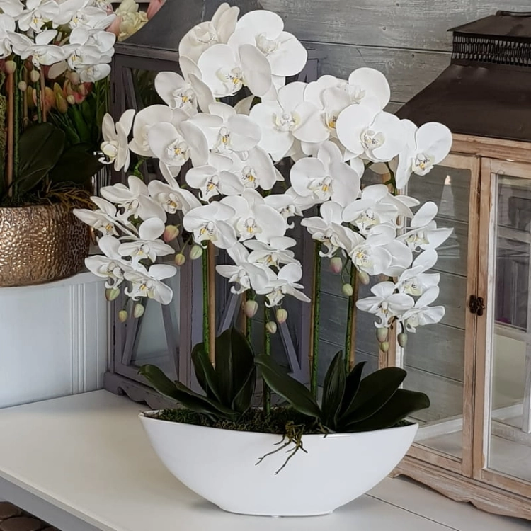 20210607_114541.jpg