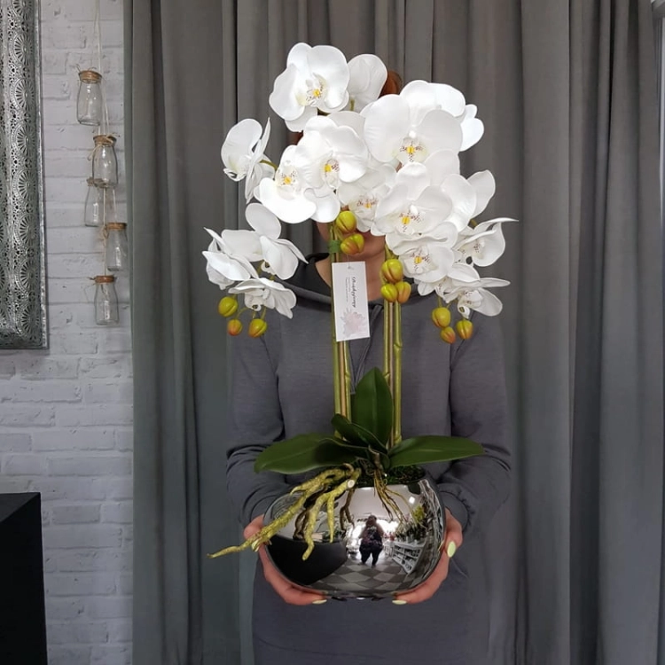 20190514_113738.jpg