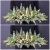 PhotoCollage_1638357929684.jpg