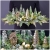 PhotoCollage_1638358249457.jpg