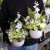 20220528_132209.jpg