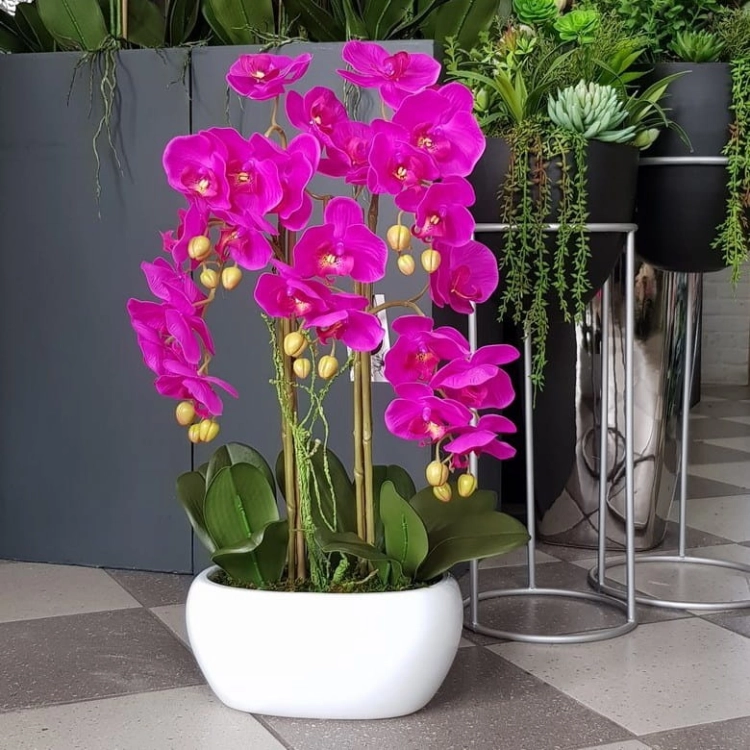 20220610_122953.jpg
