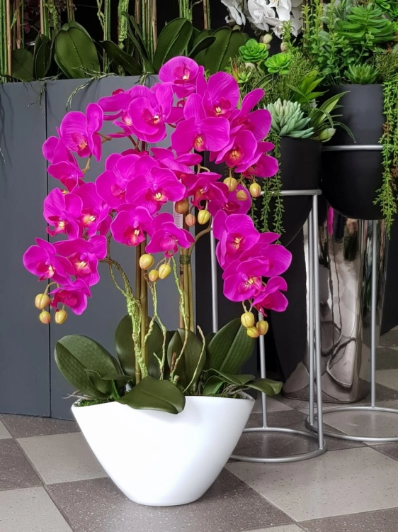20220610_123450.jpg