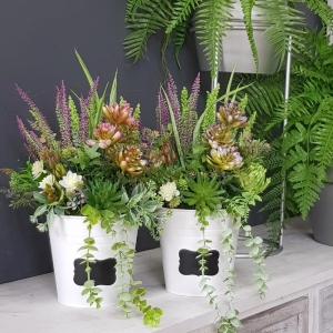 Kompozycja blisko natury wrzosy Talis M