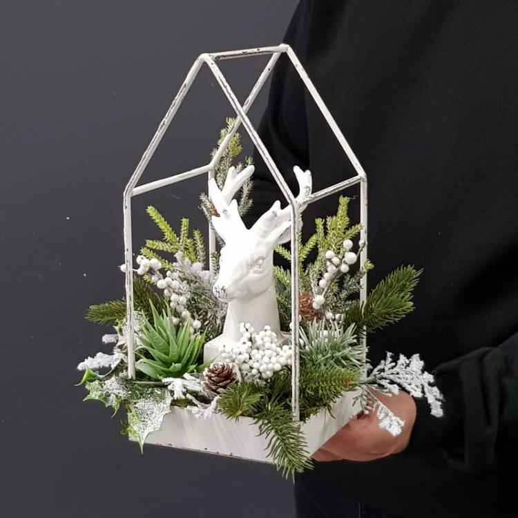 20221119_142003.jpg