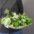 20230112_135619.jpg