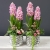 20230118_125927.jpg