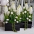 20230123_134104.jpg