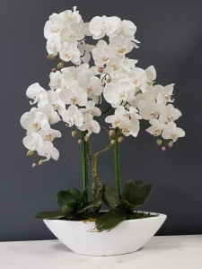 Kompozycja storczyk silikonowy Jenny 