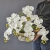IMG-20230318-WA0003-01.jpeg