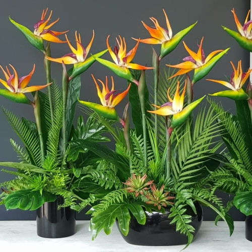 20230426_123748.jpg
