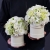 20200425_172517.jpg