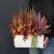 20230919_153210.jpg
