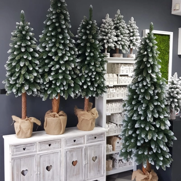 20221109_132348.jpg