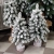 20221110_104249.jpg