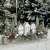 IMG_1211.JPEG