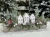 IMG_1194.JPEG