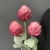 IMG_0028.JPEG
