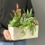 IMG_1446.JPEG