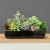 IMG_1699.JPEG