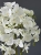 IMG_5157.JPEG