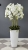 IMG_5194.JPEG