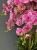 IMG_7545.JPEG
