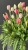 IMG_6512.JPEG