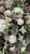 IMG_0413.JPEG
