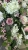 IMG_0424.JPEG