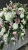 IMG_0425.JPEG