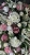 IMG_1044.JPEG