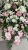 IMG_1031.JPEG