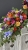 IMG_2381.JPEG