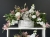 IMG_3334.JPEG