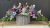 IMG_3244.JPEG
