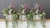 IMG_6555.JPEG