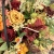 IMG_7497.JPEG