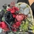IMG_8528.JPEG
