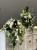 IMG_1090.JPEG