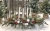 IMG_7622.JPEG