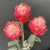 IMG_0071.JPEG