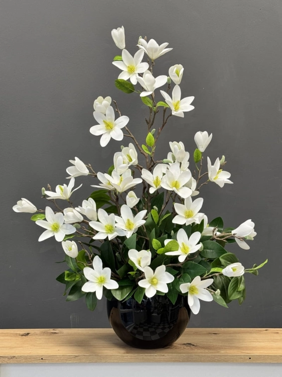 IMG_0286.JPG