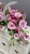 IMG_1492.JPEG