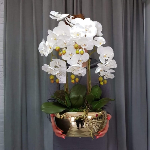 IMG-20190527-WA0124.jpg