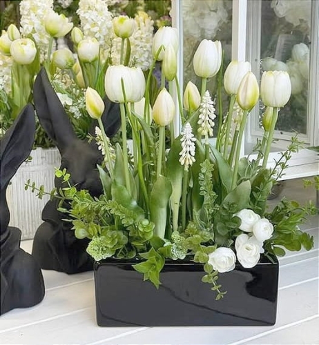 tulipany