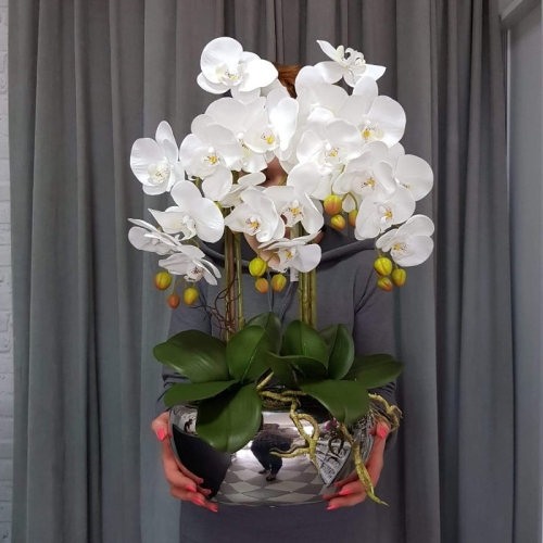 IMG-20190527-WA0115.jpg