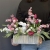IMG_5380.JPEG