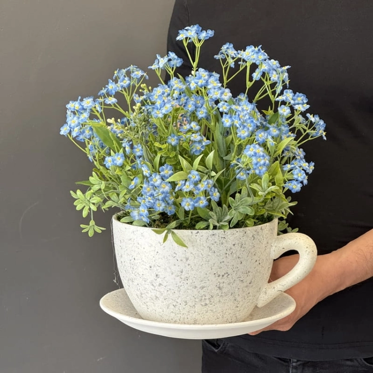 IMG_6336.JPEG