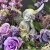 IMG_4817.JPEG